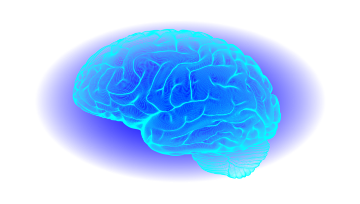 The Mineral Connection: Why Brain and Mood Health Start with the Right Building Blocks 